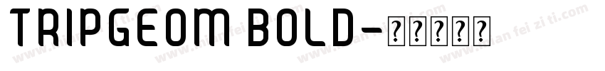 TRIPGEOM BOLD字体转换